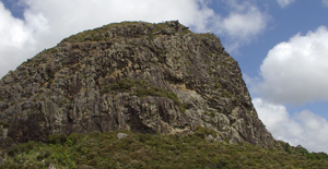 Maungaraho Rock
